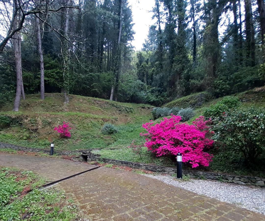 Il Bosco Di Campo Marzano Rooms & Apartments Borzonasca Exteriér fotografie