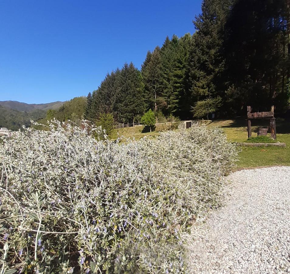 Il Bosco Di Campo Marzano Rooms & Apartments Borzonasca Exteriér fotografie