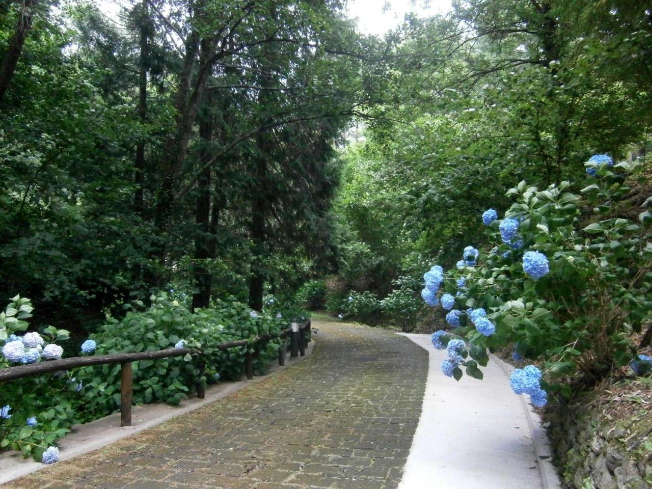 Il Bosco Di Campo Marzano Rooms & Apartments Borzonasca Exteriér fotografie