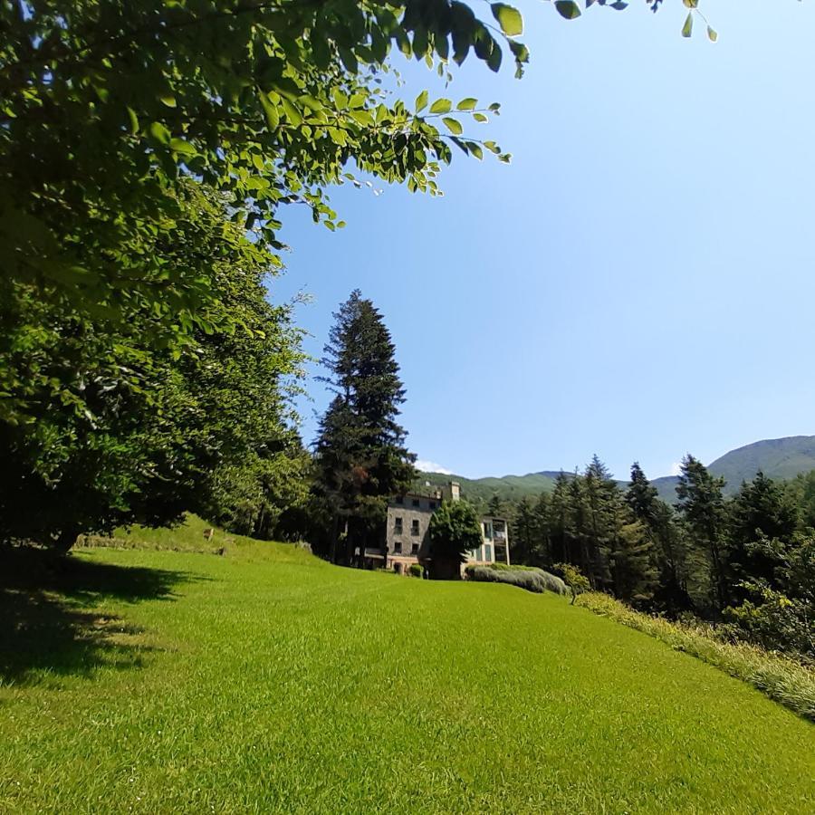 Il Bosco Di Campo Marzano Rooms & Apartments Borzonasca Exteriér fotografie