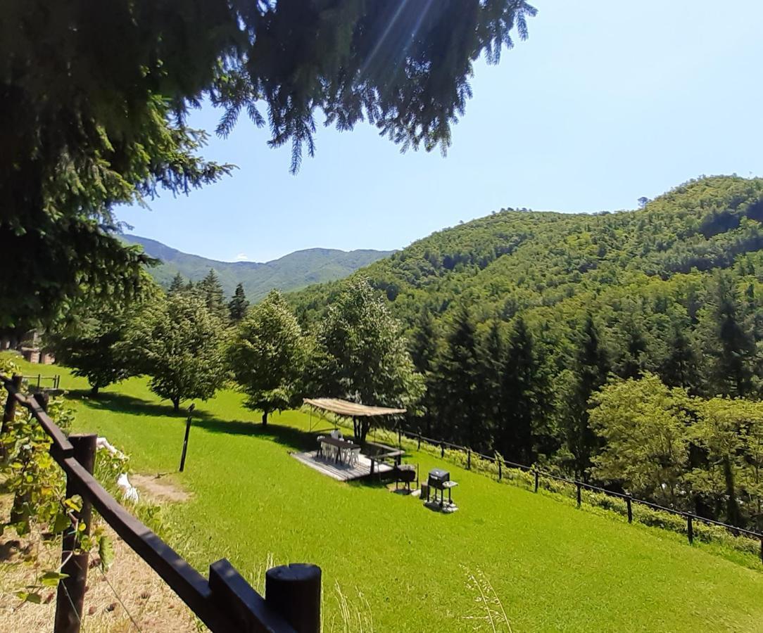 Il Bosco Di Campo Marzano Rooms & Apartments Borzonasca Exteriér fotografie